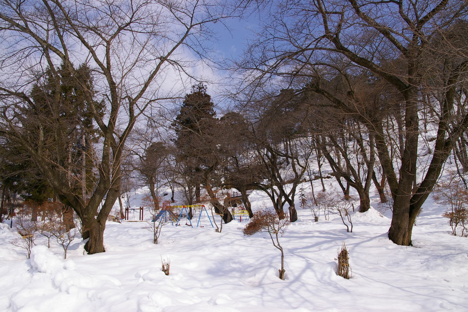 若木山公園　雪景色