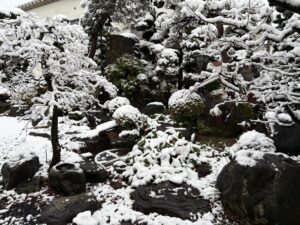 そして我が家の庭はすっかり雪化粧となりました。気持ちが引き締まります。