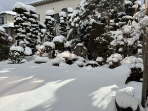 我が家の庭です。今年は雪が特別に多いです。