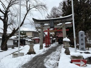 冬の若木神社です。令和７年１月２０日