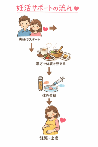 体外受精と漢方による妊活サポートの流れ｜夫婦→漢方で体質改善→体外受精→妊娠・出産のイメージ図
