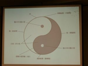 周期療法の大極図イメージ。陰陽のバランスで変化する女性のホルモンリズムを表現