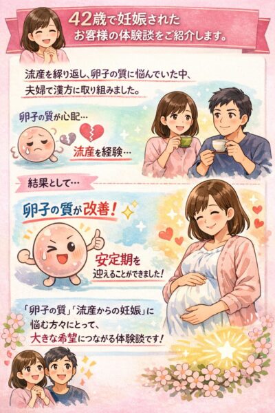 卵子の質改善を目指す40代妊活女性と漢方体質改善のイメージイラスト