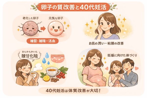 卵子の質改善や補陰・補腎による体質改善をイメージした40代妊活女性のイラスト