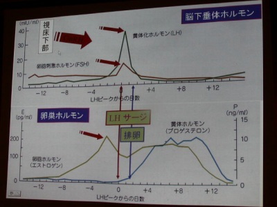 産婦人科医から不妊・妊活に役立つ漢方周期療法の視点で、月経周期におけるエストロゲン、プロゲステロン、FSH、LHなどのホルモンバランスを学んでいる様子