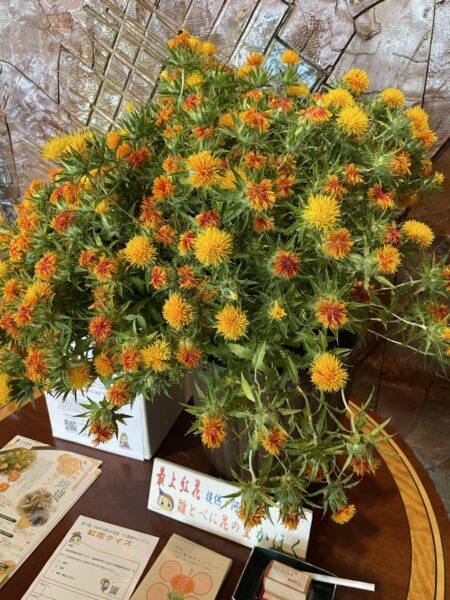 紅花(ベニハナ):冠元顆粒に含まれる生薬で血流改善や抗酸化作用、予防効果・健康長寿をサポート
