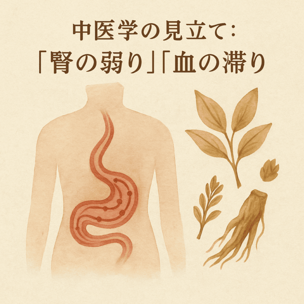 中医学の人体図イラストで、「腎の弱り」と「血流の滞り」と書かれている。
腰から下の血流の流れが滞り、足腰の冷えや痛み、しびれが起こる様子を示した図解。
脊柱管狭窄症や坐骨神経痛などの症状に対して、腎を補い血の巡りを整える漢方の重要性を表している。