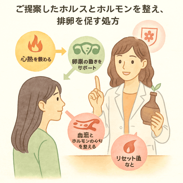薬剤師が30歳前後の女性に対して、心の熱（心熱）を鎮め、卵巣の働きを助け、血流とホルモンバランスを整える漢方処方を丁寧に説明している様子を描いた明るい水彩画イラスト。ストレスケアと体質改善を目的とした相談シーン。