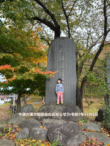 若木山公園のりんごの石碑の前で、紅葉した桜の木を見上げる男の子の写真。秋の山形らしいあたたかい風景で、命のめぐりと季節の移ろいを感じさせる一枚。
