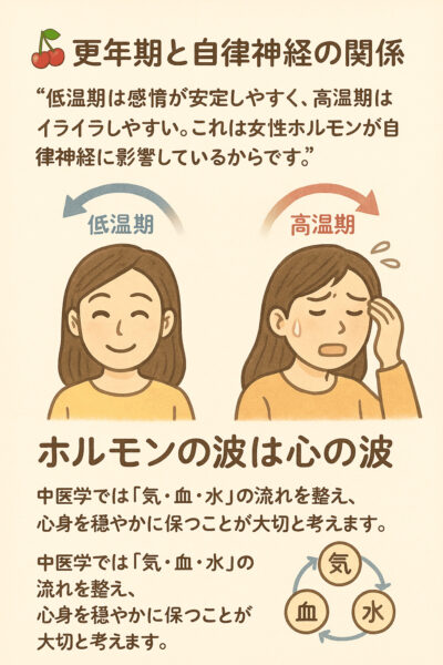 更年期と自律神経の関係をやさしく表現した中医学イラスト。
落ち着いた表情の中年女性を中心に、『低温期＝穏やか』『高温期＝イライラしやすい』というホルモンの波と、気・血・水の流れを表す柔らかな矢印が描かれている。
女性ホルモンと自律神経のつながりを視覚的に示し、更年期の心身バランスを整える漢方の考え方を伝える教育的なイラスト。