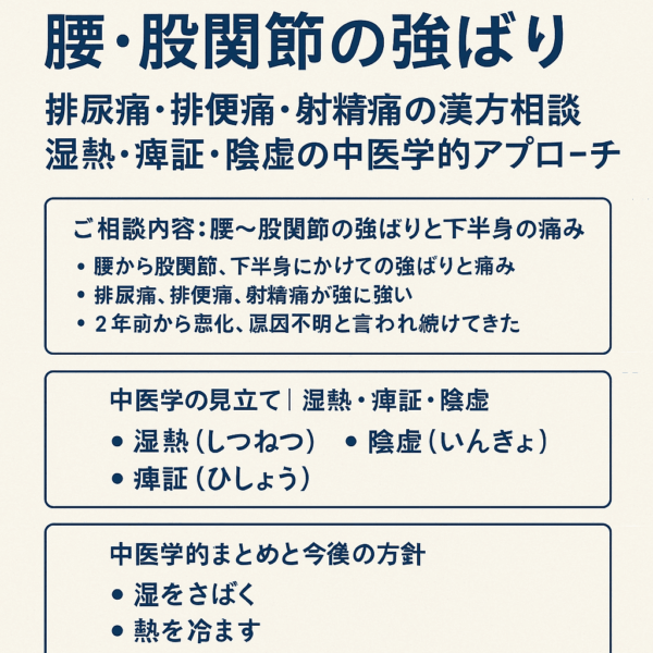 原因不明の腰や股関節の強ばり、排尿痛・排便痛・射精痛について、中医学の視点から「湿熱・痺証・陰虚」を整理した解説イラスト。漢方相談での考え方をわかりやすく示している。