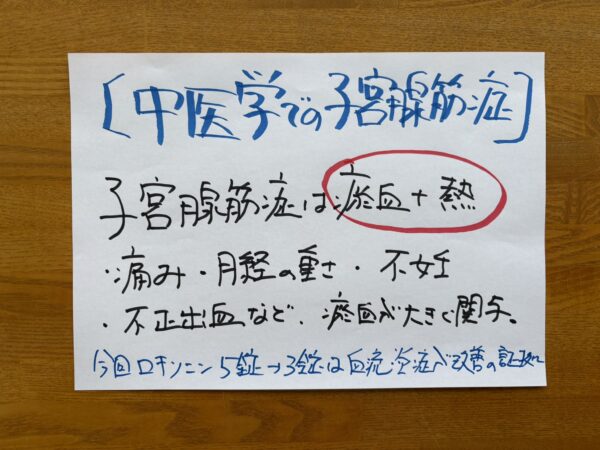 中医学の婦人科では、子宮腺筋症を「瘀血（おけつ）」と「熱（うつねつ）」が関与する状態として捉える考え方を示した手書きの解説図。