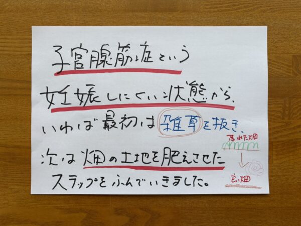子宮腺筋症を妊娠しにくい状態として捉え、まずは「畑の土を整える」ように体質改善を行うという中医学の考え方を示した手書き図。

