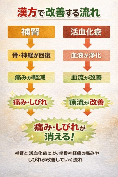 坐骨神経痛の漢方改善の流れ｜補腎と活血化瘀によって椎間板ヘルニアによる痛みやしびれを改善していく漢方の考え方
