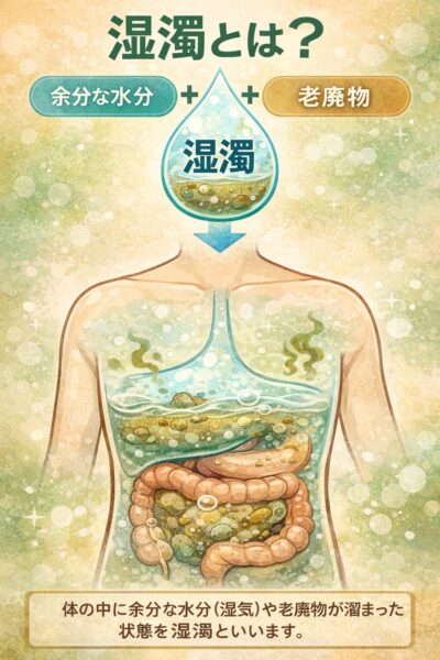 湿濁とは何かを示す図:体内に余分な水分と老廃物が溜まり胃腸に停滞している状態のイラスト
