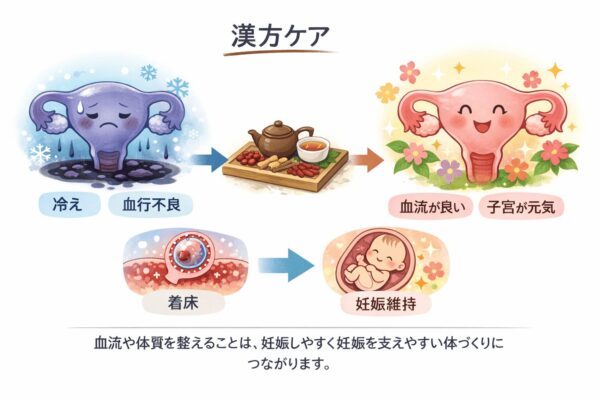 冷えや血行不良の子宮と、漢方ケアで血流が整い元気な子宮になり着床・妊娠維持につながるイメージ図
