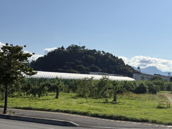 山形県東根市の若木山とりんご畑の朝の風景
