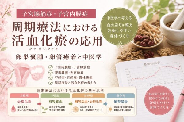 子宮腺筋症・子宮内膜症における周期療法と活血化瘀の考え方を解説するイメージ画像