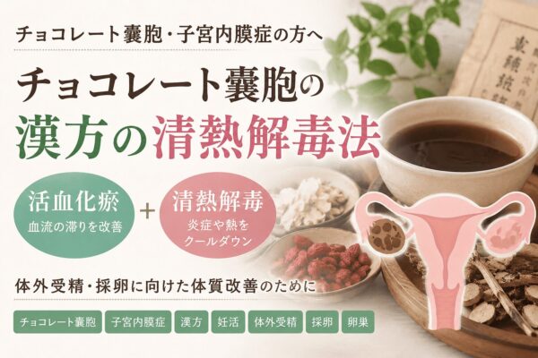 チョコレート嚢胞と漢方｜活血化瘀と清熱解毒による妊活サポート