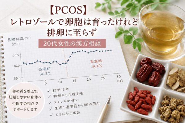 PCOSでレトロゾールを服用し卵胞は育ったものの排卵に至らなかった20代女性の漢方相談