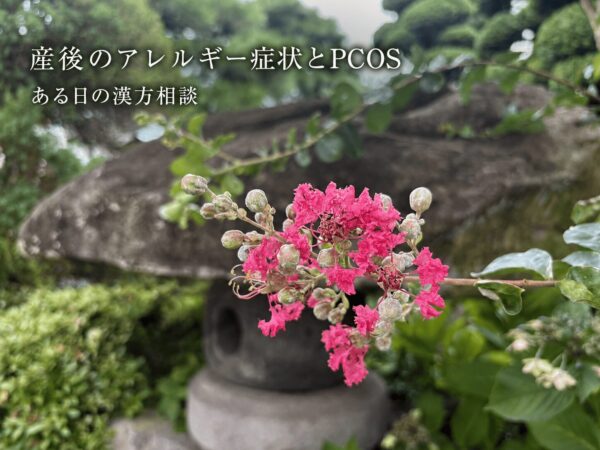 産後のアレルギー症状とPCOSの漢方相談について紹介するサルスベリのアイキャッチ画像