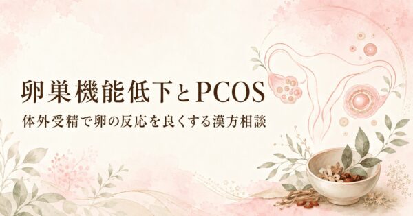 卵巣機能低下とPCOS（多嚢胞性卵巣症候群）、体外受精で卵の反応を良くする漢方相談のイメージ画像