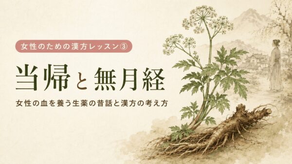 当帰と無月経について、女性の血を養う生薬の昔話と漢方の考え方を解説するアイキャッチ画像