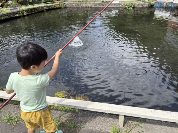 ニジマス釣りをする息子、５歳です。
