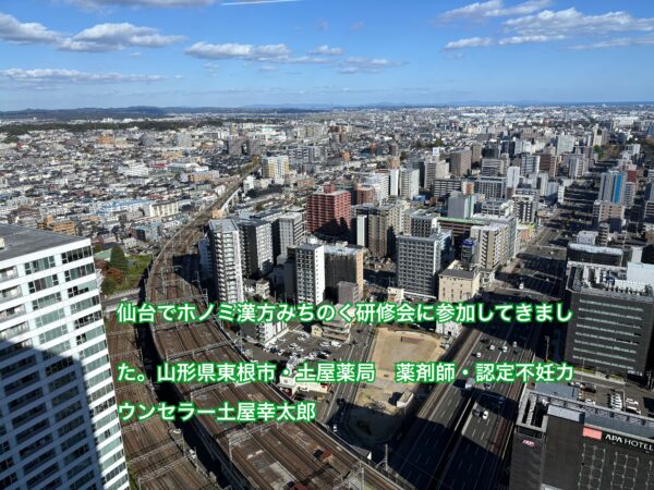 仙台アエルからの眺め