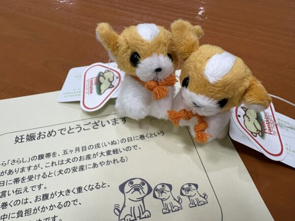 初期胚2個移植で陽性判定となったお客様へ贈ったワンちゃんのお守り