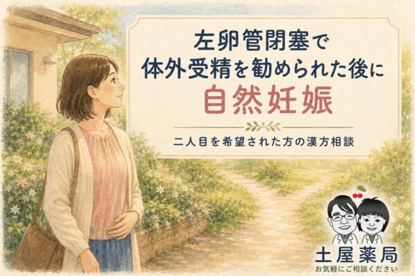 左卵管閉塞で体外受精を勧められた後に自然妊娠した方の漢方相談